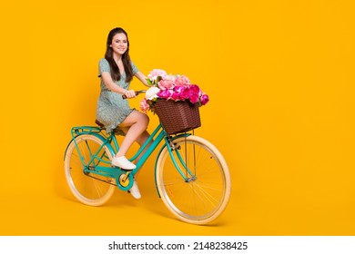Photo of pretty shiny lady dressed green dress driving cycle pink bunch empty space isolated yellow color background