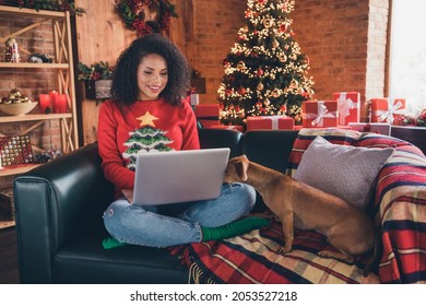 Photo of pretty sweet dark skin woman dressed red sweater showing small friend modern gadget smiling indoors house home room - Powered by Shutterstock