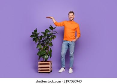 Photo of pretty sweet guy dressed orange pullover showing arm palm flower size isolated purple color background