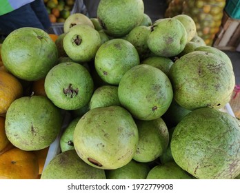 Photo Psidium Guajava Commonly Called Guava Stock Photo 1972779908 ...