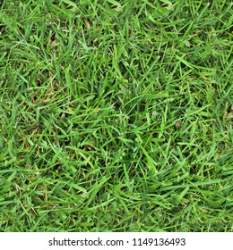 Photo Realistic Seemless Texture Pattern Of Green Grass