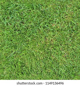 Photo Realistic Seemless Texture Pattern Of Green Grass