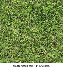 Photo Realistic Seemless Texture Pattern Of Green Grass