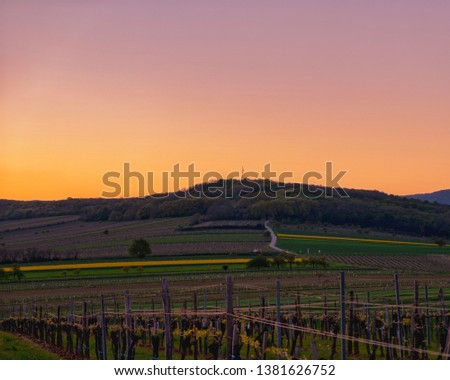 Image, Stock Photo Really nice photo Sheep