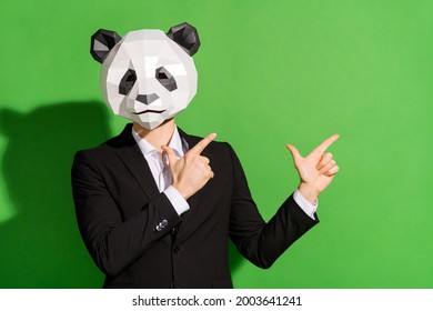 Photo Of Reliable Manager Guy Indicate Forefinger Empty Space Wear Panda Mask Black Tux Isolated On Green Color Background