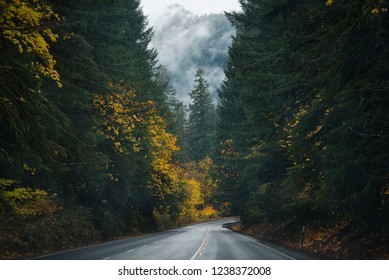 Photo of the road 58 on Oregon state at autumn