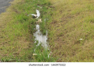 Photo Of Roadside Litter Along Semi Rural Road