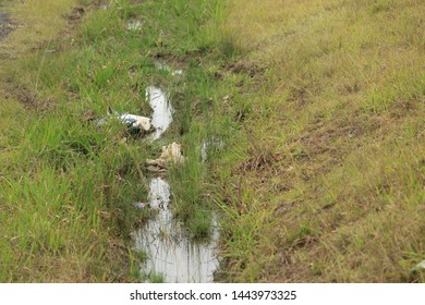 Photo Of Roadside Litter Along Semi Rural Road