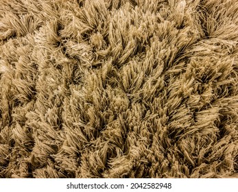 Photo Of Rug With Loose Threads.