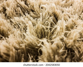 Photo Of Rug With Loose Threads.