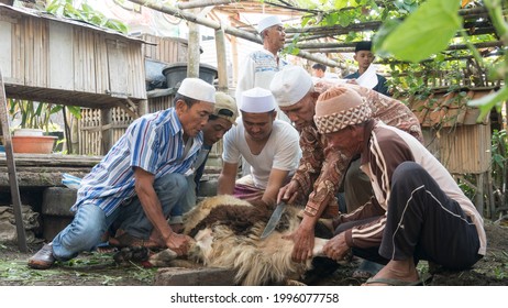 Photo Sacrificial Festival Muslims Carry Out Stock Photo 1996077758 ...