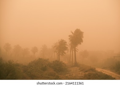 Photo Of Sand Storm In Basra City