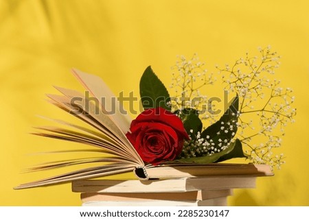 photo for sant Jordi's day, international book day and public holiday in catalonia, Image of a rose on a pile of books on a yellow background with shadows, poster copy space