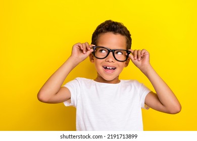 Photo of satisfied cute boy trendy outfit arm touch glasses look empty space rejoice sale eye accessory isolated on yellow color background - Powered by Shutterstock