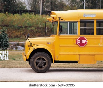 Photo / School Bus / Side
