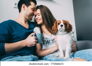 A Photo Session Of A Guy And A Girl In A Cozy Home Environment. A Family Member Is A Little Dog.