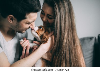 A photo session of a guy and a girl in a cozy home environment. A family member is a little dog. - Shutterstock ID 773584723