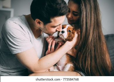A photo session of a guy and a girl in a cozy home environment. A family member is a little dog. - Shutterstock ID 773584768