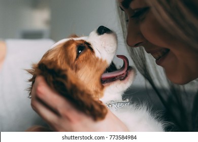 A Photo Session Of A Guy And A Girl In A Cozy Home Environment. A Family Member Is A Little Dog. Close-up.