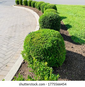 photo of a set of green bushes nicknamed on the outskirts of new york city on a typical summer day - Shutterstock ID 1775566454
