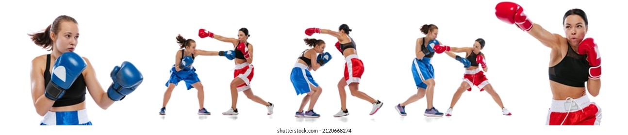 Photo set. Two woman professional boxers boxing isolated on white studio background. Couple of fit muscular caucasian athletes in gloves fighting. Sport, competition, show, power, action concept.
