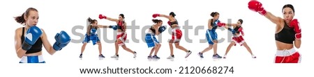 Photo set. Two woman professional boxers boxing isolated on white studio background. Couple of fit muscular caucasian athletes in gloves fighting. Sport, competition, show, power, action concept.