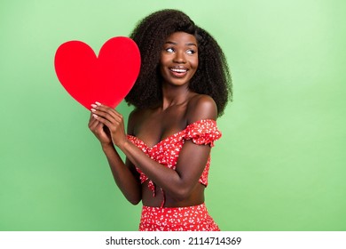 Photo Of Sexy Young Wavy Hairdo Brunette Lady Show Heart Wear Red Top Isolated On Green Color Background