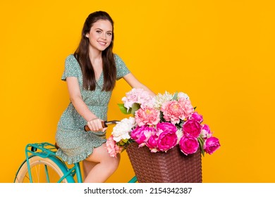 Photo of shiny charming lady dressed green dress driving cycle pink bunch empty space isolated yellow color background