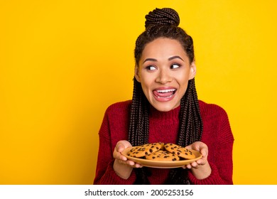 Photo of shiny sweet dark skin woman dressed sweater holding plate cookies empty space licking lips isolated yellow color background