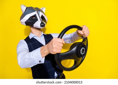 Photo Of Shocked Weird Freak Guy Racoon Mask Drive Car Hurry Theme Party Event Get Accident Isolated Over Shine Yellow Color Background