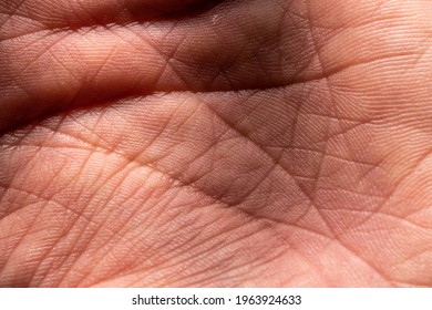 Photo Showing Super Detailed Skin Texture. Palm Hand Macro Photography. High-resolution Image.