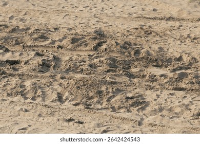 Photo shows dry sand marked by deep motorcycle tire tracks and scattered human footprints in various directions.