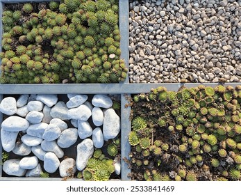 Photo shows a minimalist garden decoration combining succulents and various stones.The green plants and white stones create a striking contrast, while the geometric arrangement feels stylish and clean - Powered by Shutterstock