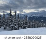 The photo shows a winter landscape in a mountainous area. In the foreground, there are snow-covered trees, with tall pine trees covered in snow. In the background, majestic snow-capped mountains stret