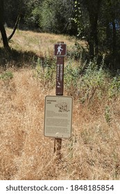 A Photo Of The Sign At The Camping Place Warning Of Mountain Lion Sightings In California, USA. 