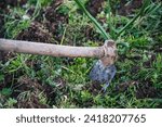 photo of small hoe between the earth and grass of a family garden