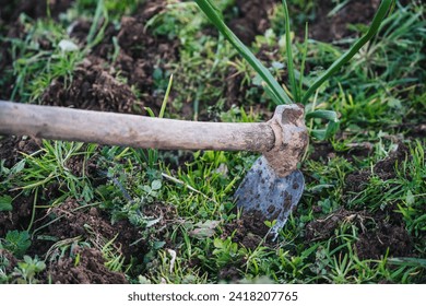 photo of small hoe between the earth and grass of a family garden