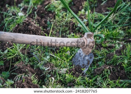 photo of small hoe between the earth and grass of a family garden