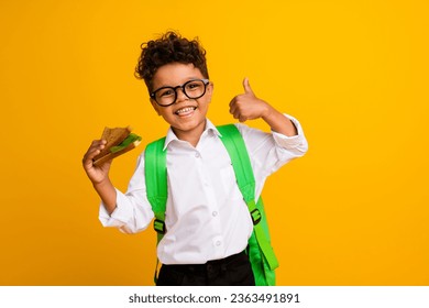 Photo of small positive schoolboy hand hold sandwich demonstrate thumb up approval isolated on yellow color background