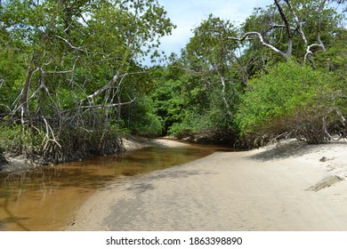 Photo Of A Small Stream Ending On A Beach On The Island Of Marajó, Brazil.