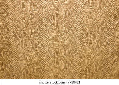 Photo Of Snakeskin Wallpaper Background Texture