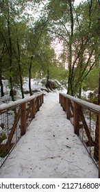 Photo Of Snowy Bridge In Forest