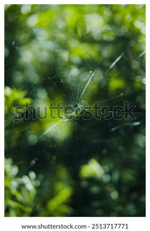 Similar – Image, Stock Photo Blue flower of globularia alypum on nature with sunlight