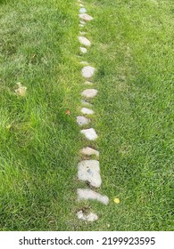 Photo Of A Straight Line Of Stone On A Lawn