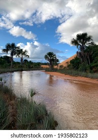 Photo Of A Stream Running Through The  Jalapão Cerrado Forest, Brazil.