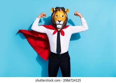 Photo Of Strong Courage Guy Lion Mask Save Planet World Show Muscles Isolated Over Blue Color Background