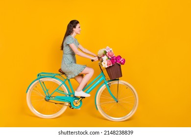 Photo of sweet charming woman wear print dress riding bike pink bouquet empty space isolated yellow color background - Powered by Shutterstock