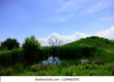 Photo Taken In Elmley National Nature Reserve, Isle Of Sheppey.