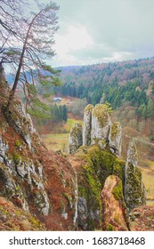 Photo taken in Poland, near the city of Krakow. The picture shows the mysterious mountains of Oitsov National Park in early spring. - Shutterstock ID 1683718468