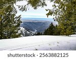 photo taken of the Snake River gateway to Hells Canyon taken from the Waha ridge white with snow framed by evergreen fir trees
